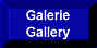 Galerie / Gallery