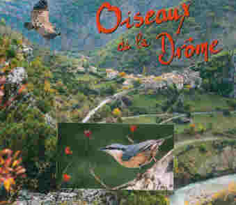 oiseaux de la drome internet.jpeg (7218 octets)